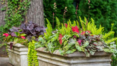 Container gardening in Westchester, NY