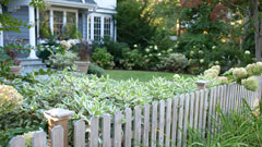 Wood fence and garden in New Rochelle